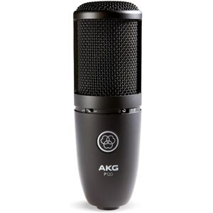 AKG P120