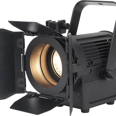 American DJ Encore FR20 DTW American DJ Encore FR20 DTW