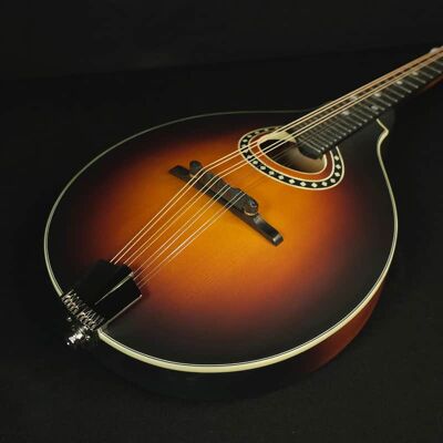 2025 Eastman MD304E 2025 Eastman MD304E