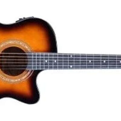 Washburn WCG10CE Washburn WCG10CE