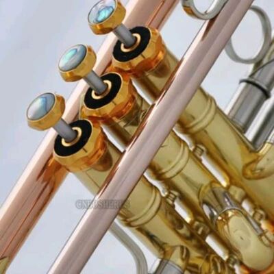 BerkeleyWind luxury Abalone Shell Trumpet Cap Set 3 PCs BerkeleyWind luxury Abalone Shell Trumpet Cap Set 3 PCs