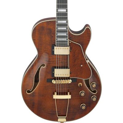 Ibanez Ibanez Artcore Expressionist AG95MG Hollowbody Guitar ... Ibanez Ibanez Artcore Expressionist AG95MG Hollowbody Guitar ...