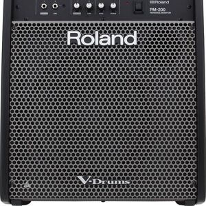 Roland PM-200 180-watt 1x12" Personal Drum Monitor