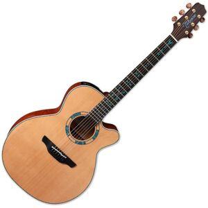 Takamine LTD 2023