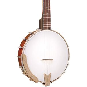 2010 - Present Gold Tone CC-50/L