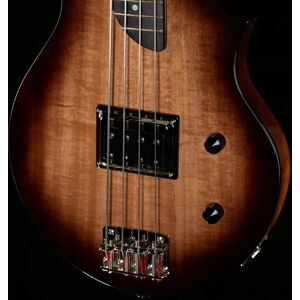 Rick Turner Rick Turner Model T Bass Anigre Top - 5623-8.50 lbs