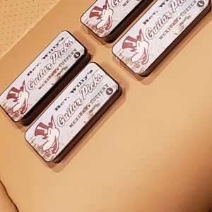 Dunlop RWT01L Rev Willy Pick Tin -- SIX (6) Light Gauge Picks