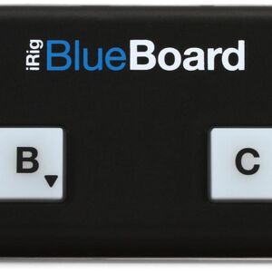 2020 IK Multimedia IP-IRIG-BBRD-IN