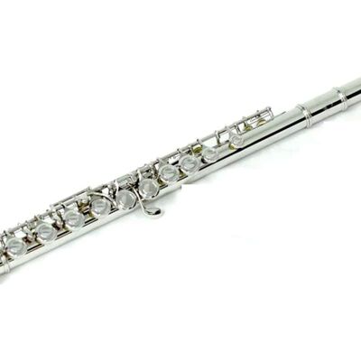 Unbranded Nickel Closed Hole Flute w Black Case/Shoulder Strap... Unbranded Nickel Closed Hole Flute w Black Case/Shoulder Strap...