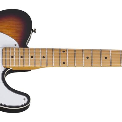Schecter PTSpecial Schecter PTSpecial