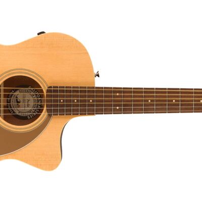Fender Newport Player Fender Newport Player
