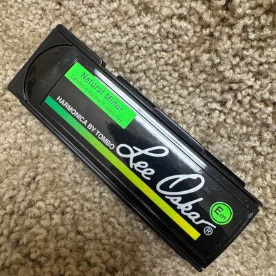 Lee Oskar E Natural Minor Harmonica Lee Oskar E Natural Minor Harmonica