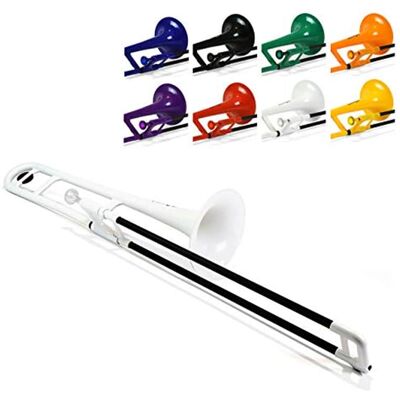 2021 PINSTRUMENTS PBONE1W 2021 PINSTRUMENTS PBONE1W