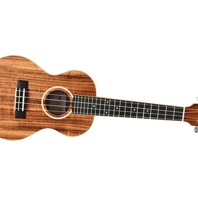 Twisted Wood Aurora Ukulele Soprano AR-800S Twisted Wood Aurora Ukulele Soprano AR-800S