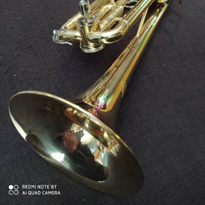 Berkeley Mystery Bb Ab Switching Trumpet Heavy D2H (w/Extra En... Berkeley Mystery Bb Ab Switching Trumpet Heavy D2H (w/Extra En...