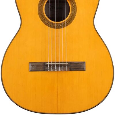 2019 Takamine TAKGC1NAT 2019 Takamine TAKGC1NAT