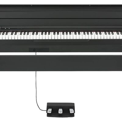 2025 Korg LP180BK 2025 Korg LP180BK