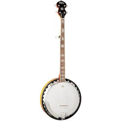 Washburn Five String Banjo Washburn Five String Banjo