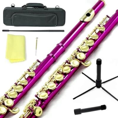 Unbranded NEW Band Approved Hot Pink C Foot Flute/gold Keys/Ha... Unbranded NEW Band Approved Hot Pink C Foot Flute/gold Keys/Ha...