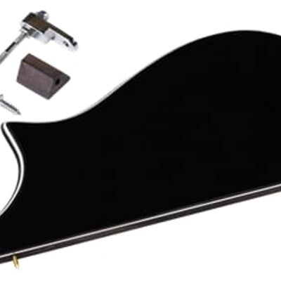 Golden Gate M-401A F-Model Mandolin Pickguard Assembly Golden ... Golden Gate M-401A F-Model Mandolin Pickguard Assembly Golden ...
