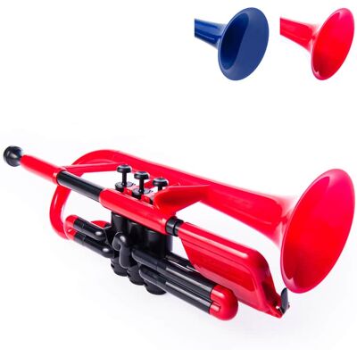 2021 PINSTRUMENTS PCORNET1R_OB 2021 PINSTRUMENTS PCORNET1R_OB