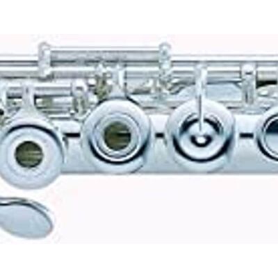 Pearl Quantz Series Intermediate Flute, Offset G, B Footjoint,... Pearl Quantz Series Intermediate Flute, Offset G, B Footjoint,...