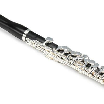 2022 Pearl Flutes PFP165E 2022 Pearl Flutes PFP165E