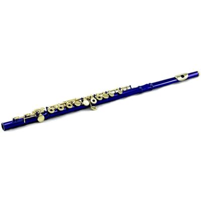 Unbranded Closed Hole Blue Flute/Gold Keys/Hard & Soft Cases Unbranded Closed Hole Blue Flute/Gold Keys/Hard & Soft Cases