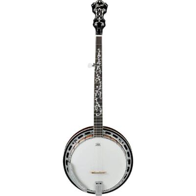 Ibanez B300 5-string Resonator Banjo Ibanez B300 5-string Resonator Banjo
