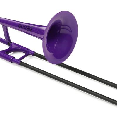 2022 pInstruments PBONE1P 2022 pInstruments PBONE1P