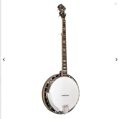 Gold Tone OB-150EF 24-Fret Orange Blossom Banjo w/ Case Gold Tone OB-150EF 24-Fret Orange Blossom Banjo w/ Case
