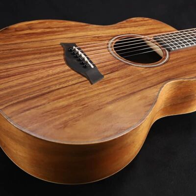 Taylor GS Mini-e Koa Taylor GS Mini-e Koa