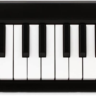 2019 Korg MKEYAIR37 2019 Korg MKEYAIR37