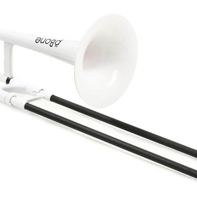 2022 pInstruments PBONE1W 2022 pInstruments PBONE1W