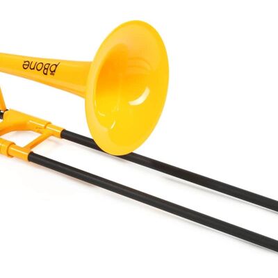 2022 pInstruments PBONE1Y 2022 pInstruments PBONE1Y