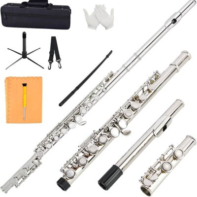 Unbranded Closed Hole C Flute 16 Keys Nickel-Plated Flutes For... Unbranded Closed Hole C Flute 16 Keys Nickel-Plated Flutes For...