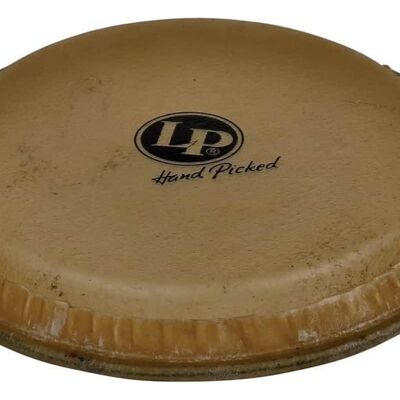 Latin Percussion Unknown LP Lg Head For Lp492-Awc Latin Percussion Unknown LP Lg Head For Lp492-Awc