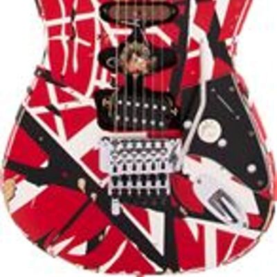 EVH 5107900 503 EVH 5107900 503
