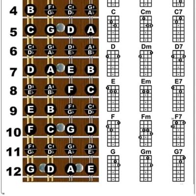 Unbranded Laminated Mandolin Fretboard Notes & Easy Beginn... Unbranded Laminated Mandolin Fretboard Notes & Easy Beginn...