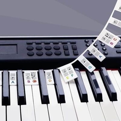Unbranded Removable Piano Key Stickers Note Labels for 88 Key ... Unbranded Removable Piano Key Stickers Note Labels for 88 Key ...