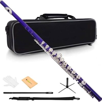 Unbranded Purple C Flute Closed Hole 16 Keys Flute Nickel-Plat... Unbranded Purple C Flute Closed Hole 16 Keys Flute Nickel-Plat...