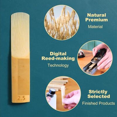 Unbranded 10 Pack Bb Soprano Saxophone Reeds with Plastic Box,... Unbranded 10 Pack Bb Soprano Saxophone Reeds with Plastic Box,...