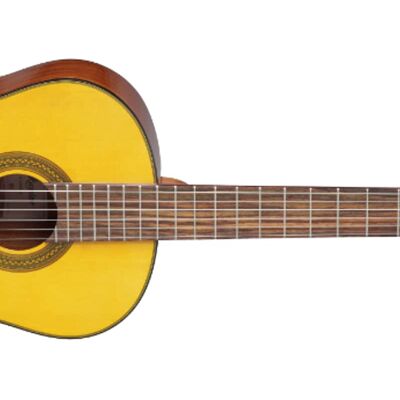 Takamine GC1 Takamine GC1