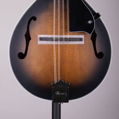Ibanez M510 A-style Mandolin Ibanez M510 A-style Mandolin