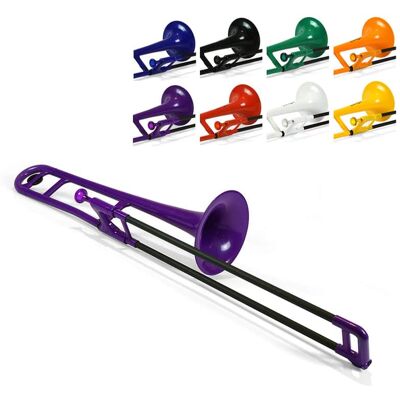 2021 PINSTRUMENTS PBONE1P 2021 PINSTRUMENTS PBONE1P