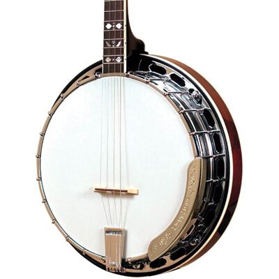 Gold Tone TS-250 4-String Flat Top Resonator Tenor Special Banjo Gold Tone TS-250 4-String Flat Top Resonator Tenor Special Banjo