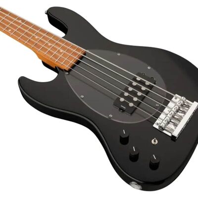Sadowsky MetroExpress 21-Fret Vintage M Bass, Roasted Maple Fi... Sadowsky MetroExpress 21-Fret Vintage M Bass, Roasted Maple Fi...