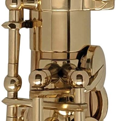 Unbranded Alto Saxophone end plug flex fits in your sax, expan... Unbranded Alto Saxophone end plug flex fits in your sax, expan...
