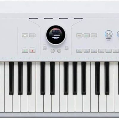Arturia AstroLab 88-Key Stage Keyboard Arturia AstroLab 88-Key Stage Keyboard