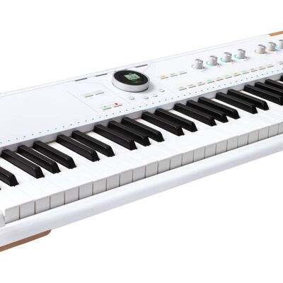 Arturia Astrolab 61-key Stage Keyboard Arturia Astrolab 61-key Stage Keyboard